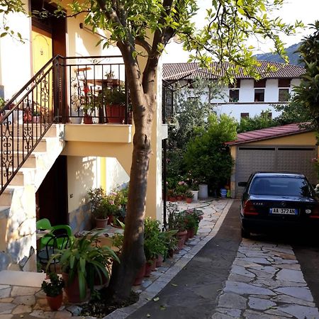 Villa Garden Berat Exteriér fotografie