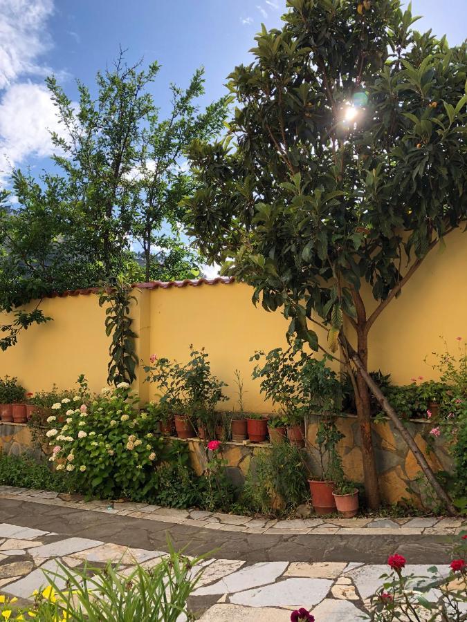 Villa Garden Berat Exteriér fotografie