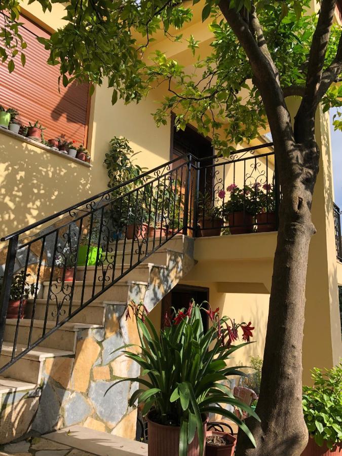 Villa Garden Berat Exteriér fotografie